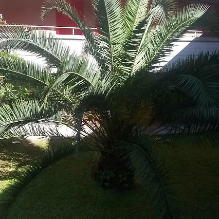 Apartment Open Space La Pace - Tra Versilia E 5 Terre